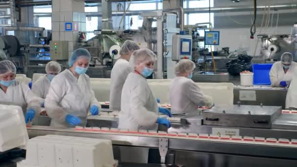 Plant workers in uniform pack food from a moving line. — Stock Video