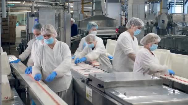 People work in a facility, packing products from a conveyor. — Stock Video