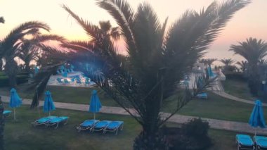 Bir tesiste sandalyeler ve avuç içi ile havuz alanı.