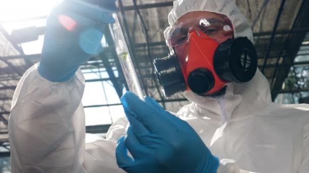 Biologist in safety wear is observing a leaf in a test tube — Stock Video