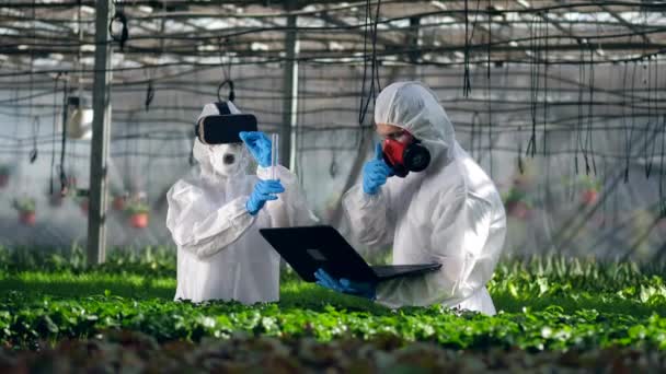 Dois cientistas estão realizando uma pesquisa digital na estufa — Vídeo de Stock