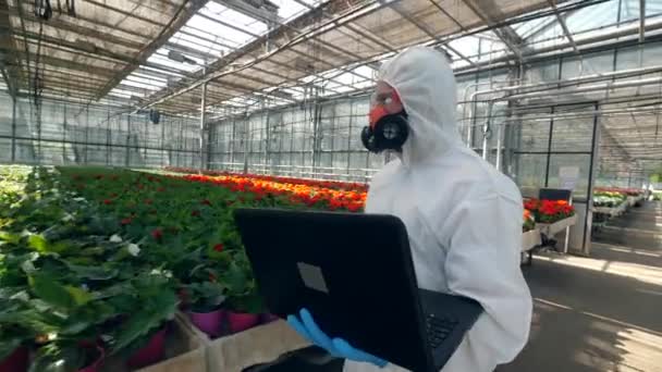 Biólogo masculino com um laptop está andando ao longo das flores florescentes — Vídeo de Stock