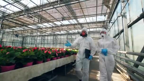 玻璃屋与明亮的鲜花和两个化学家沿着他们走 — 图库视频影像