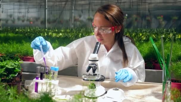 유리 하우스 노동자는 화학 물질을 테스트하기 위해 현미경을 사용하고 있습니다 — 비디오