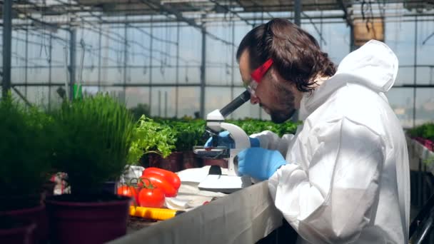 Mužský agronomista analyzuje chemické látky pod mikroskopem. — Stock video
