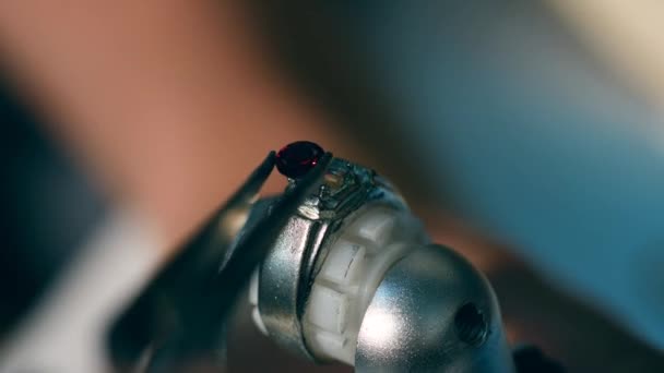 Persona pone una gema roja en un anillo en un taller de joyería . — Vídeo de stock