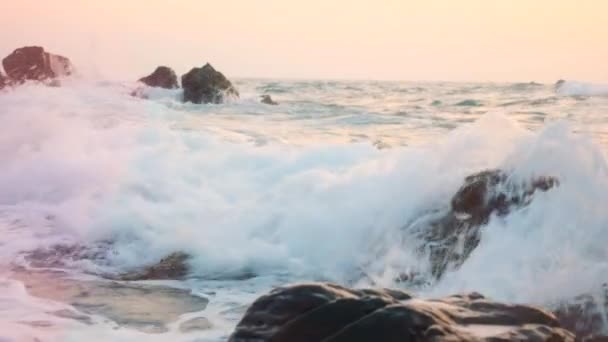 분홍색 그늘진 파도가 바위에 충돌하고 있습니다. — 비디오