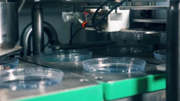 Mechanische machine werkt met plastic containers in een levensmiddelen fabriek. Voedsel verpakkingsproces — Stockvideo