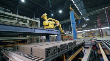Fabrika tesisinde çalışan otomatik robot manipülatör