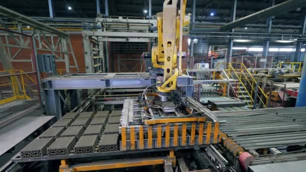 I prodotti industriali della fabbrica vengono trasferiti dal manipolatore automatico robot . — Video Stock