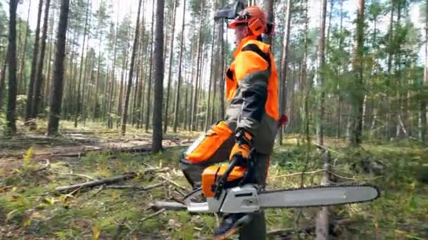 Lumberman loopt langs het bos met een kettingzaag — Stockvideo