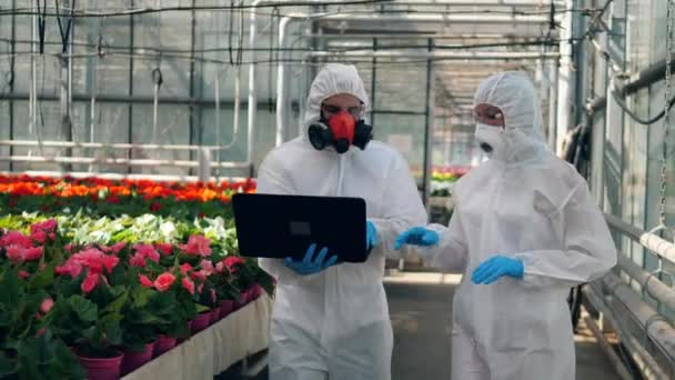 Vědci chodí ve skleníku s laptopem a mluví. — Stock video