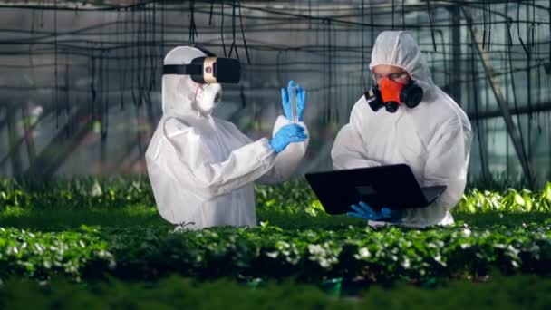 Dos biólogos trabajan en un invernadero, usando gafas VR y portátil . — Vídeo de stock