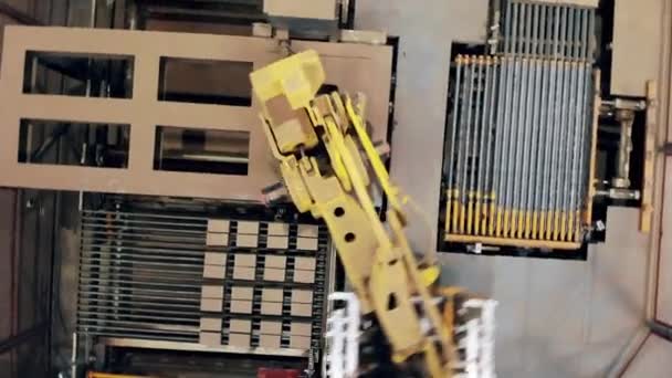 Çalışma fabrikası ekipmanları bir konveyör üzerinde kutuları taşır. — Stok video