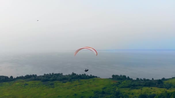 Een paraplane en een vogel zweven boven de grond — Stockvideo