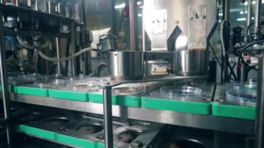 Ekmek kırıntıları ile Plastik tabaklar konveyör boyunca hareket ediyor
