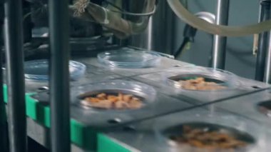 Ekmek atıştırmalıkları ile plastik tabaklar mühürlü alıyorsanız. Gıda fabrikasında paketleme işlemi.