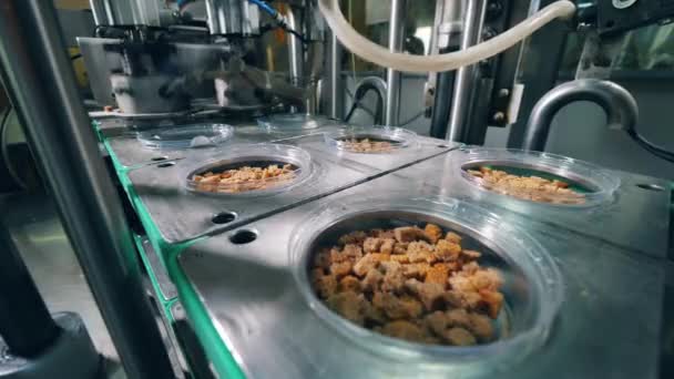 Plastic dozen met brood snacks worden mechanisch gesloten — Stockvideo