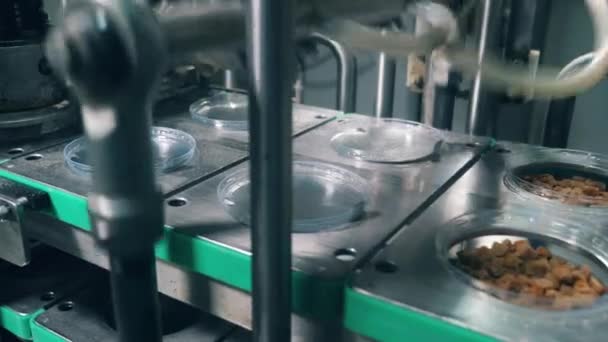 El transportador está sellando platos de plástico con migas de pan — Vídeo de stock