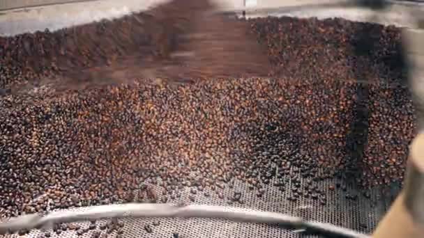 大量的咖啡豆被机械地混合在一起 — 图库视频影像