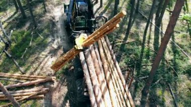 Hasat makinesi işlenmiş ağaç gövdelerini istifleriyor