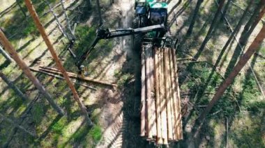 Kesilen keresteler hasat makinesi tarafından başka bir yere yerleştiriliyor.