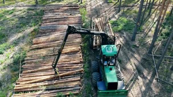Машина для сбора урожая разгружает обработанные сосновые стволы — стоковое видео