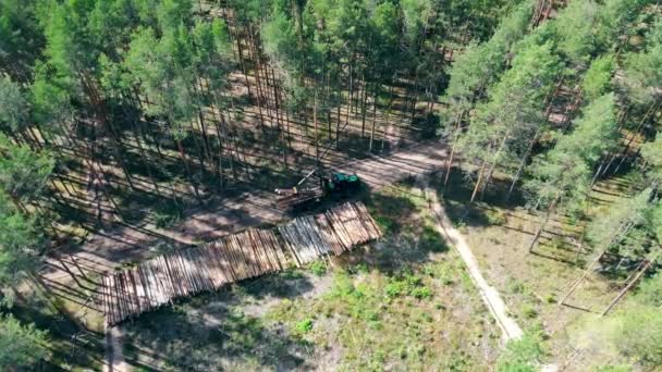 Выгрузка вырубленных деревьев, выполненная машиной в виде сверху — стоковое видео
