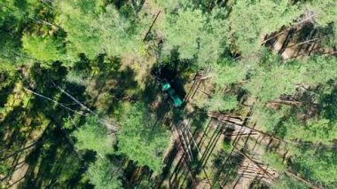 Harvester orman boyunca sürüş ve bir üst görünümünde ağaçları düşen