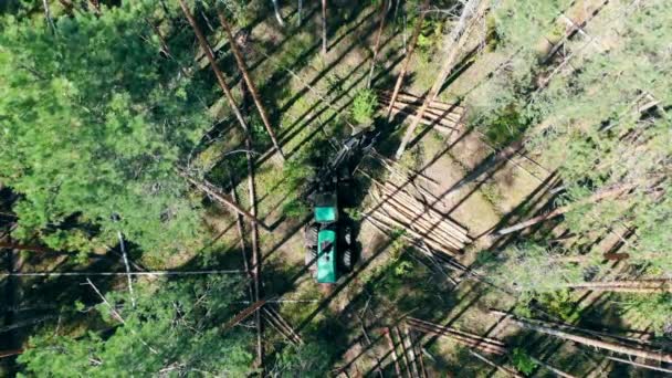 Industriële machine is het hakken van dennen in een top uitzicht — Stockvideo