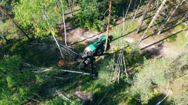 Top view of the industrial vehicle chopping felled pines — Stock Video