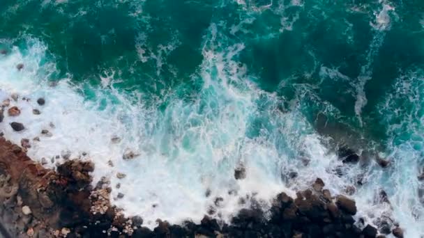 As águas do oceano azul-turquesa estão a cair ao longo da costa — Vídeo de Stock