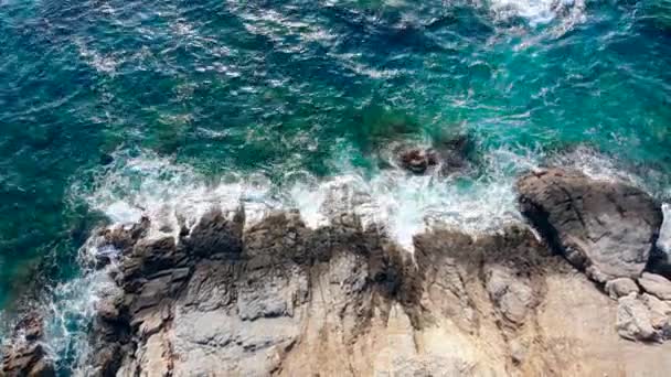 Bord de mer rocheux et vagues qui le longent — Video