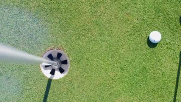 Білий м'яч потрапляє в дірку на полі для гольфу . — стокове відео