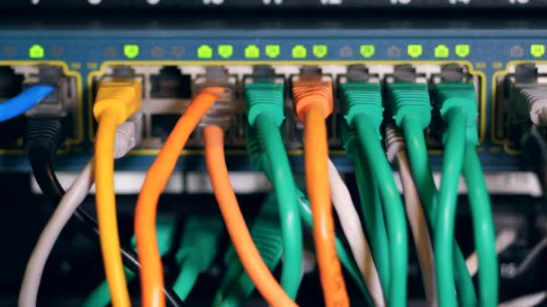 Ranuras de servidor con múltiples cables insertados en ellas — Vídeo de stock