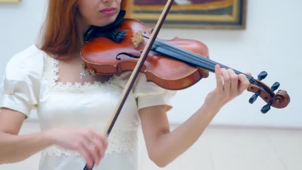 Violinista femenina con un vestido blanco toca el instrumento — Vídeo de stock