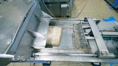 Gıda fabrikası konveyör bir tesiste çalışır.