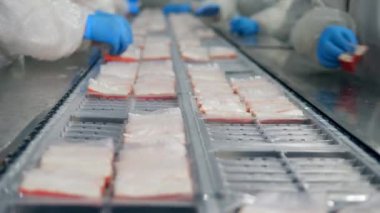 Fabrika işçileri gıda ürünlerini konteynerlere koydu.