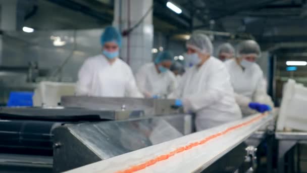 La gente trabaja en una fábrica de alimentos, tomando productos de un transportador . — Vídeo de stock