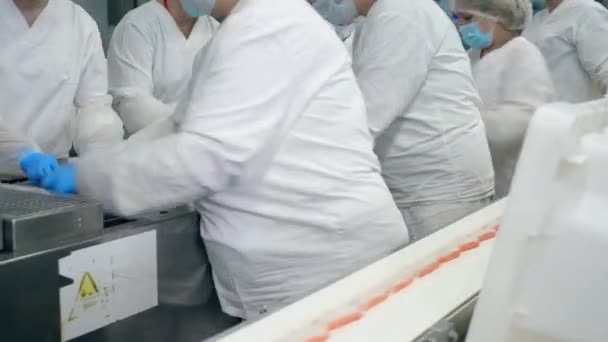 Frauen arbeiten mit Lebensmitteln auf einem Förderband in einer Produktionsanlage. — Stockvideo