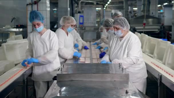 多くの女性が食品工場で働き、コンベアから製品を選ぶ. — ストック動画