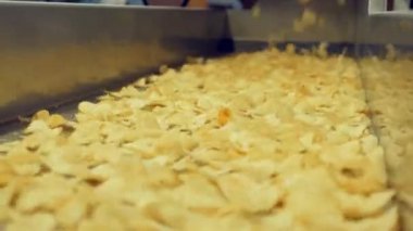 Bir metal hattın üzerine düşen kızarmış cips yığını, bir tesiste taşınan.