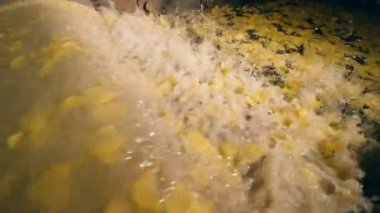 Bir pişirme tesisinde yağ ile bir konveyör den düşen kızarmış cips.
