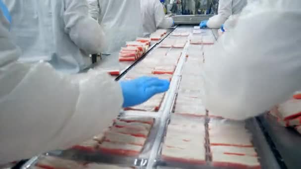 Människor packa mat i plastpåsar på en livsmedels fabrik. — Stockvideo