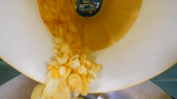 Massor av chips som faller i en metallbehållare för sortering på en livsmedels fabrik. — Stockvideo