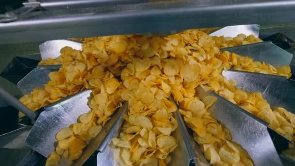 Un mucchio di patatine fritte cadono in un contenitore di smistamento in una struttura . — Video Stock