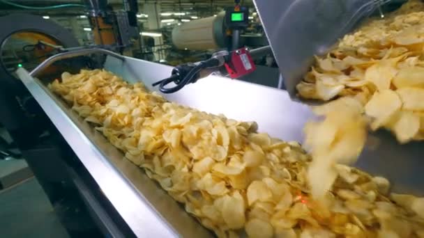 Modern gyári szállítópálya mozog sok burgonya chips. — Stock videók