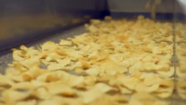 Transportador moderno transporta chips amarelos em uma fábrica de alimentos . — Vídeo de Stock