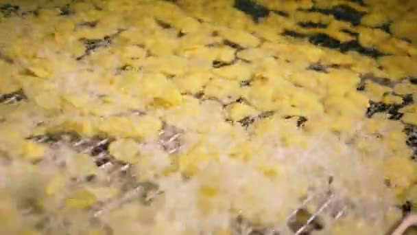 Patatine fritte in olio su un trasportatore in movimento in un impianto alimentare . — Video Stock