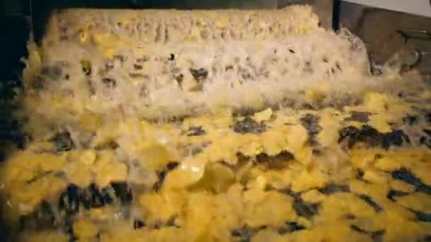 Рабочая машина перемещает жареные в масляных чипсах на пищевой фабрике . — стоковое видео